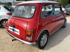 expertise-mini-austine